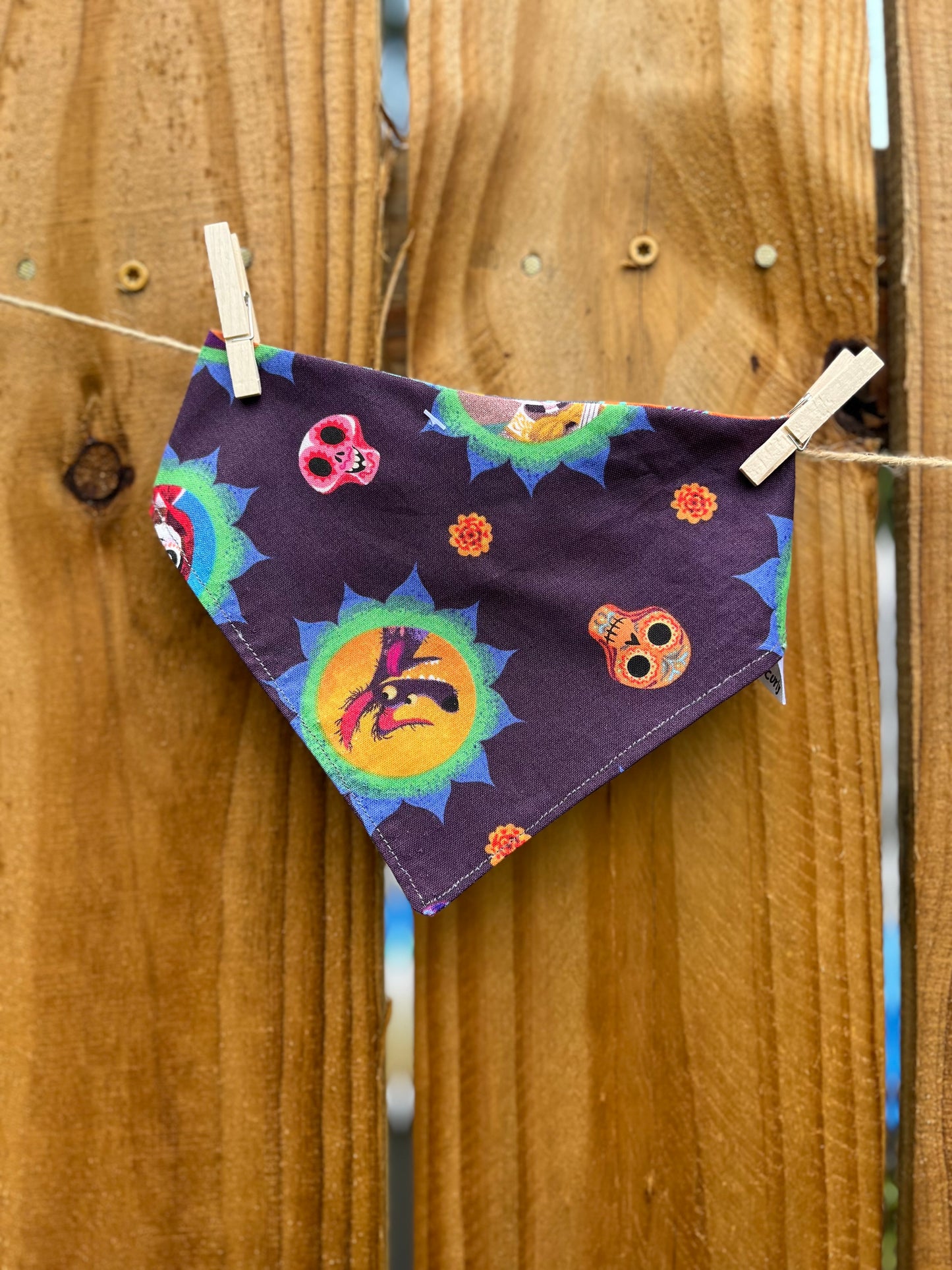 Coco Disney Reverse Dog Bandana