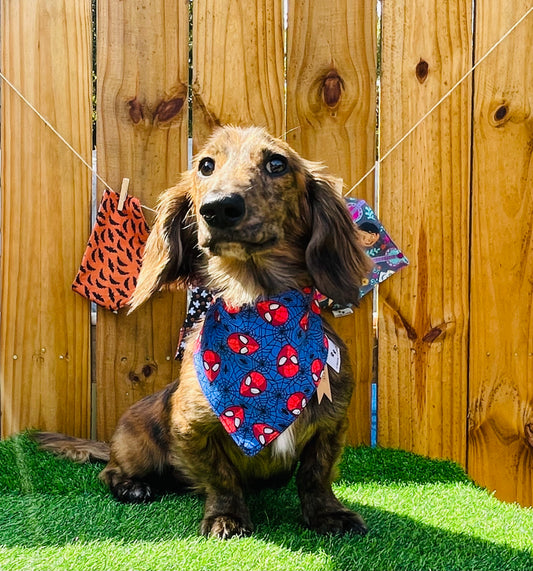 Spider Man Halloween  Reverse Dog Bandana