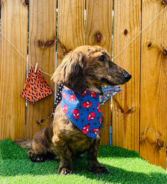 Spider Man Halloween  Reverse Dog Bandana