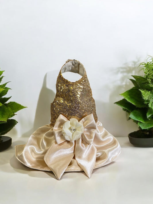 Elegant Dog Gold dress