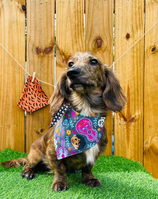 Coco Disney Reverse Dog Bandana