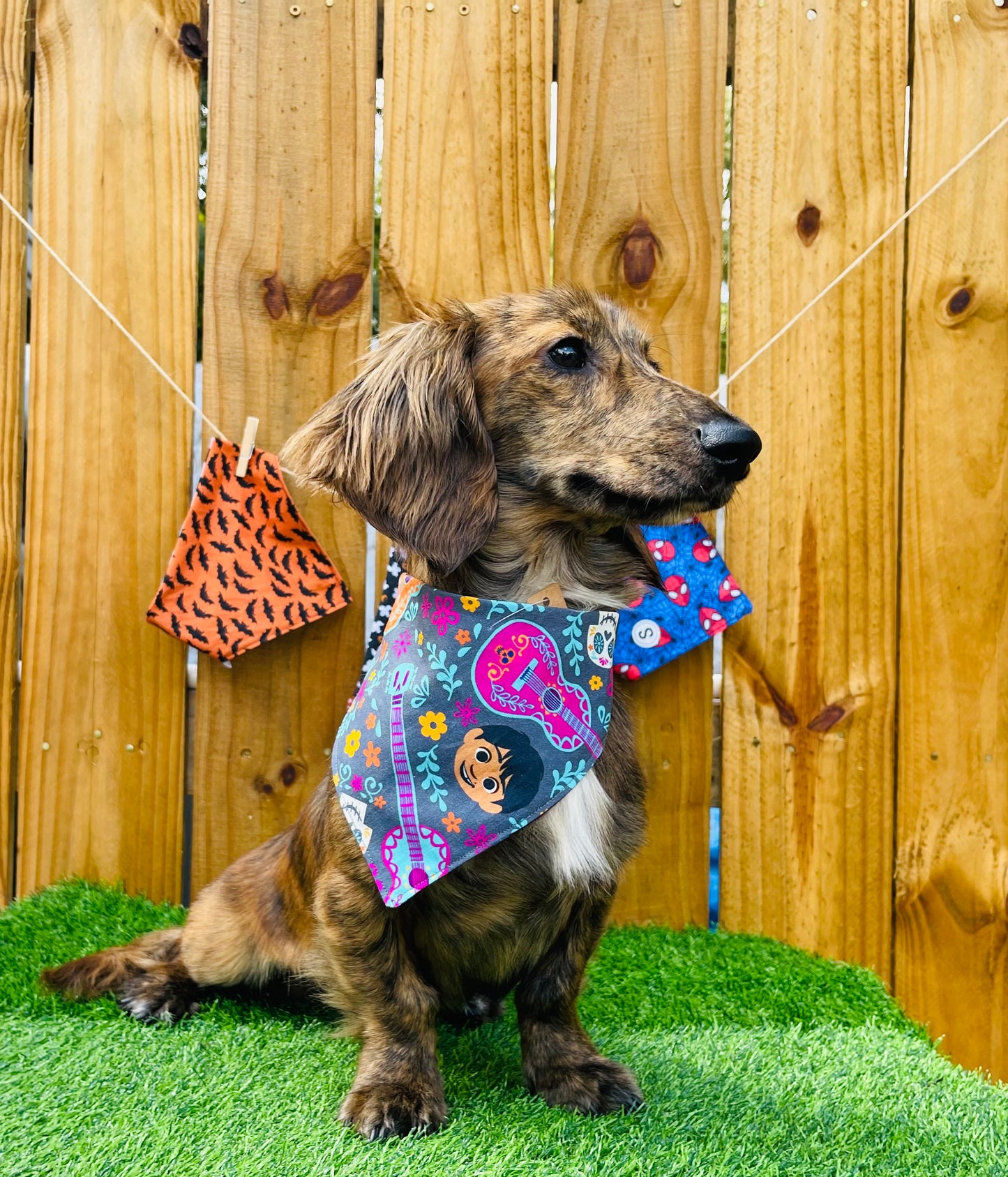 Coco Disney Reverse Dog Bandana