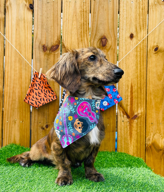 Coco Disney Reverse Dog Bandana